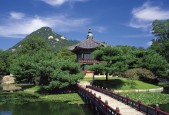 2026世界杯全球收视率预测报告：48队参赛如何引爆多国数字流量，世界杯 收视率