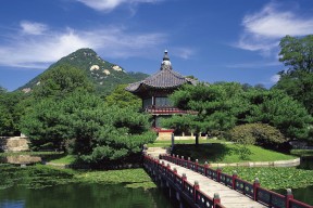 2026世界杯全球收视率预测报告：48队参赛如何引爆多国数字流量，世界杯 收视率