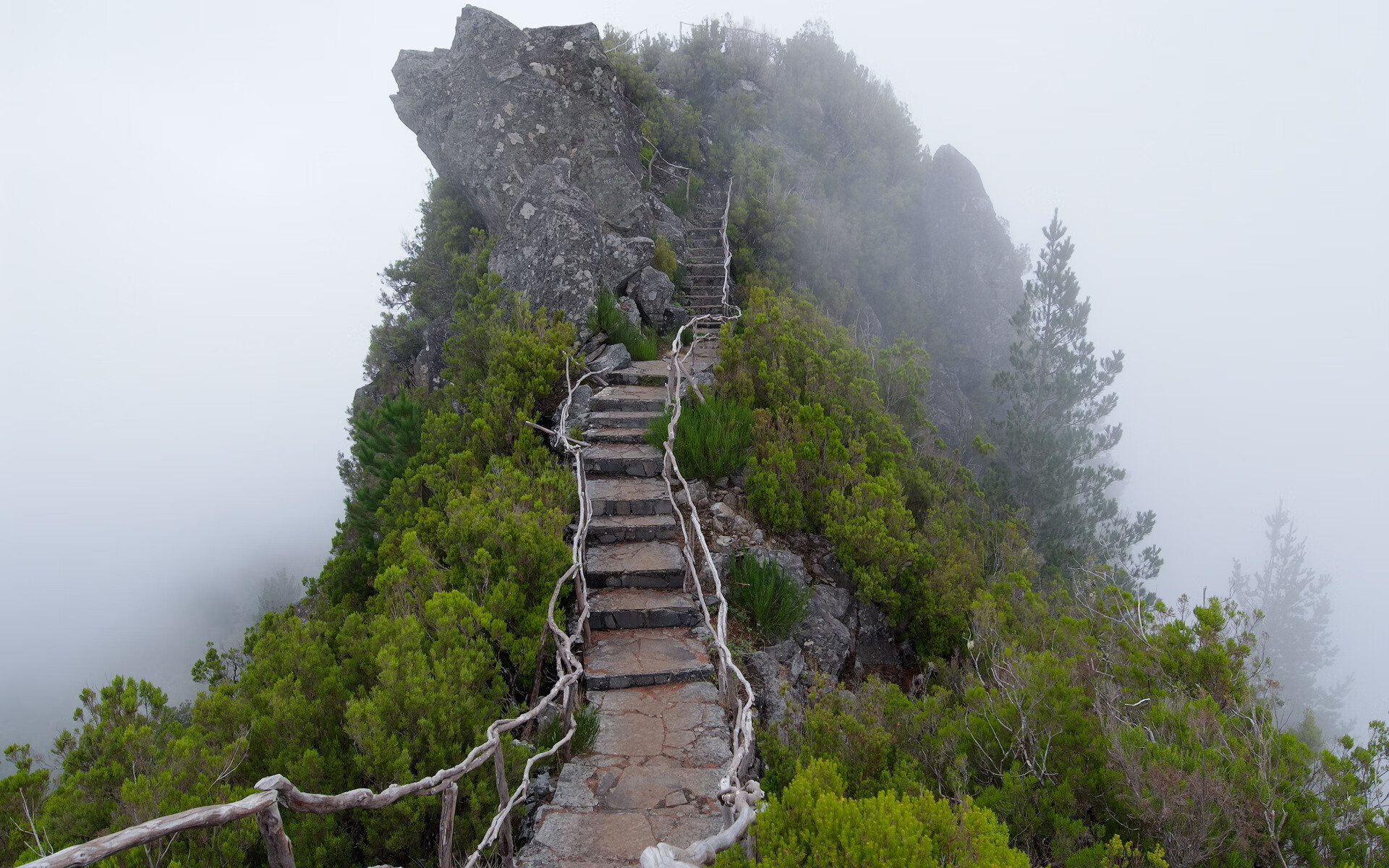 世界短道速滑训练营导师教学视频付费章节开放，世界短道速滑强国